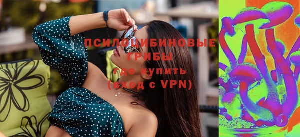 таблы Ельня