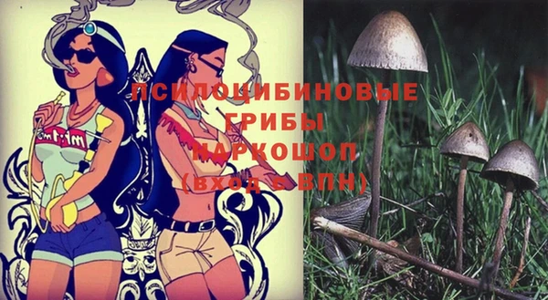 таблы Ельня