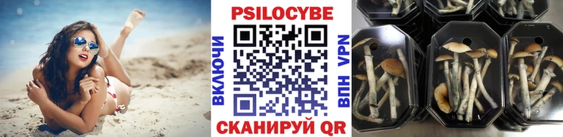 Галлюциногенные грибы мухоморы  Купить  Ялта 